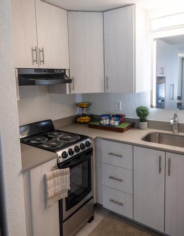 The Irlo | Kissimmee | Photos 16