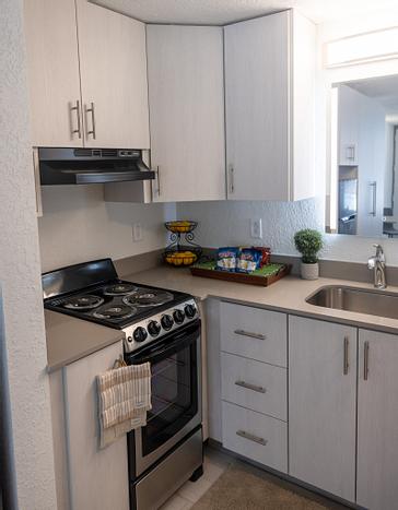 The Irlo | Kissimmee | Photos 16